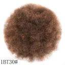 Large 1Bh30