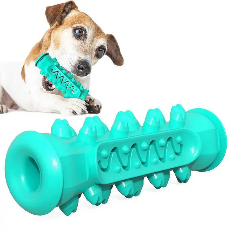 Molar Teeth Cleaning New Dog Rope Bite