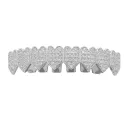 Silver Upper Teeth