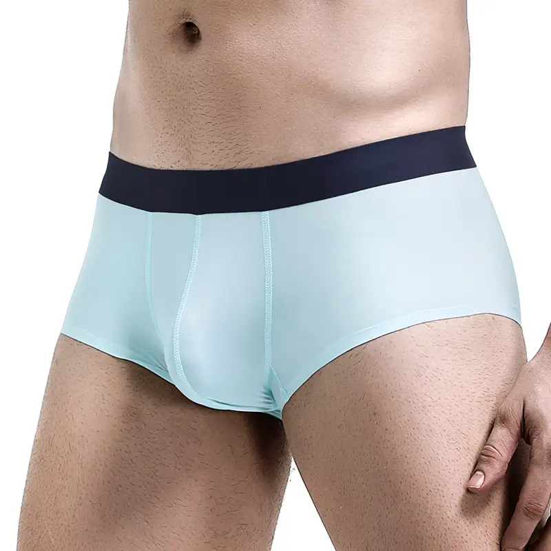 Ice Silk Seamless Boxers Boys Transparent Underpants