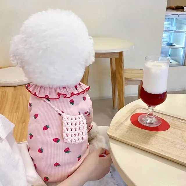 Summer Thin Lace Strawberry Pet Cat Dog Clothes Pink - Shop at LoveMi