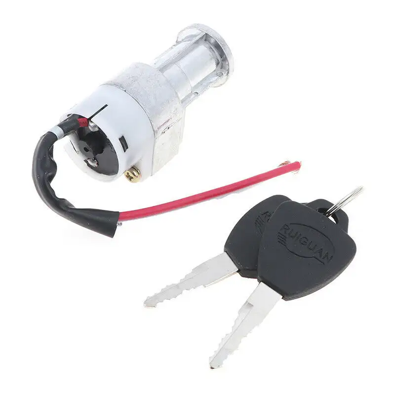 Silver Fish Type Electric Bicycle Lithium Battery
