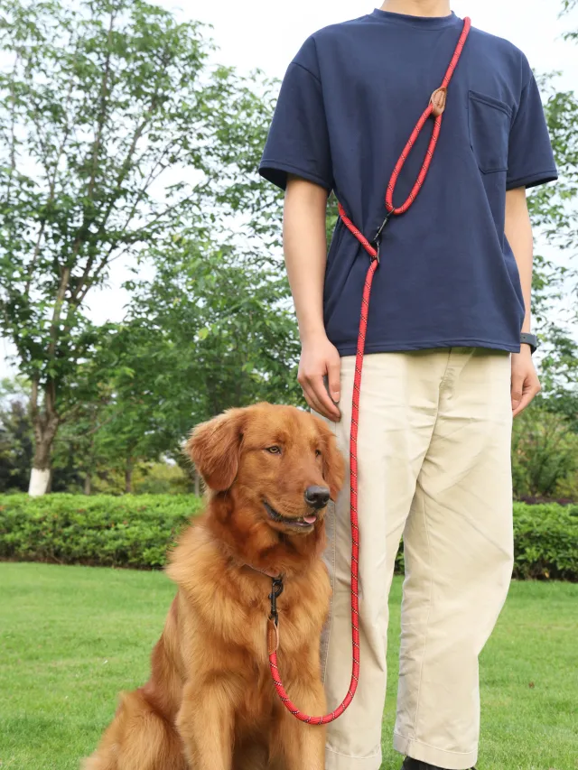 Pet Multifunctional Adjustable Reflective Hand Holding Rope Red - Shop at LoveMi