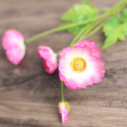 3 Flowers And 1 Bud Deep Pink