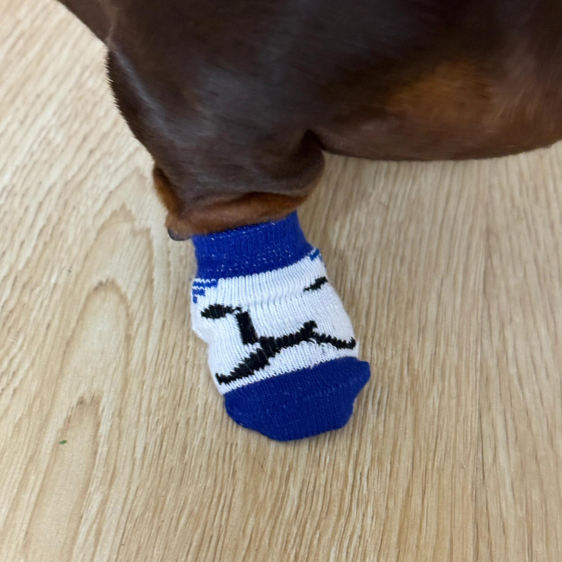 Set Of 4 Durable Scratch-resistant Dirt-proof And Non-slip Paw Covers For Cats