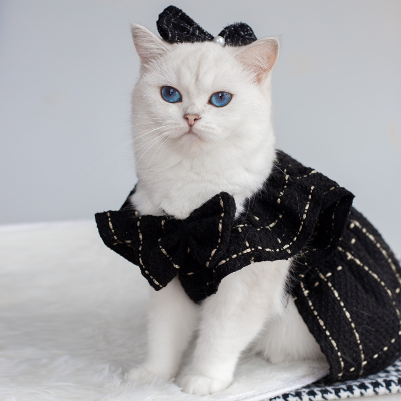 Black Dress Bow Tie