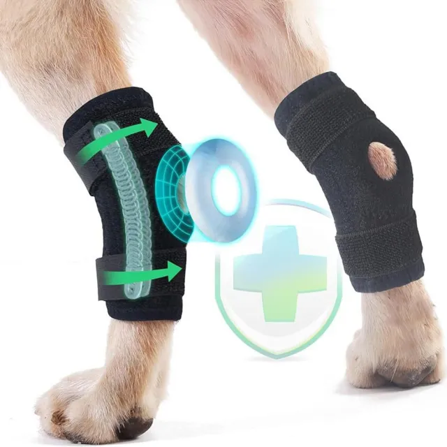 Dog Rear Leg Auxiliary Strap Protective Gear Black - Shop at LoveMi