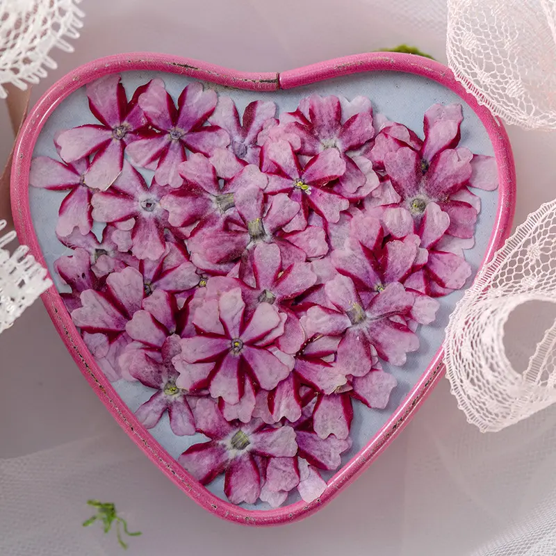Cherry Blossom Dried Flower Ornament Accessories Bookmark