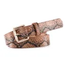 Serpentine Brown