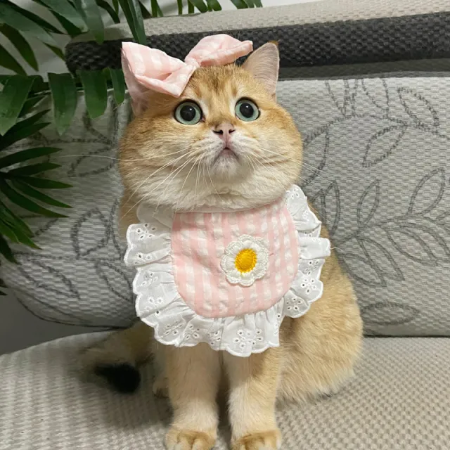 Cat Lace Suit Saliva Towel Princess Style Scarf Bib Decoration Pink Plaid Suit - Shop at LoveMi
