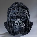 Orangutan