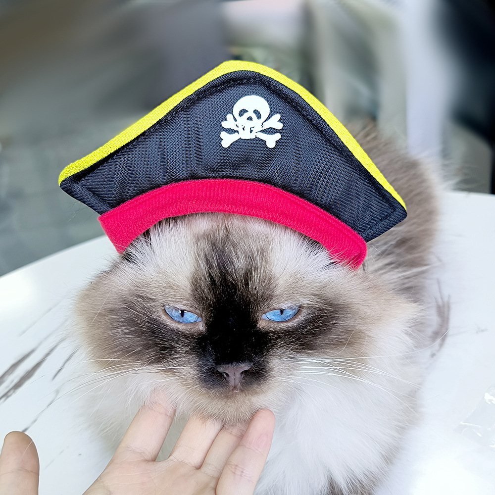 Pirate Hat