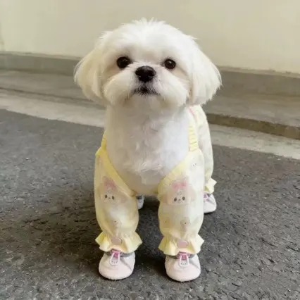Small Dog Four-Legged Dust Pants