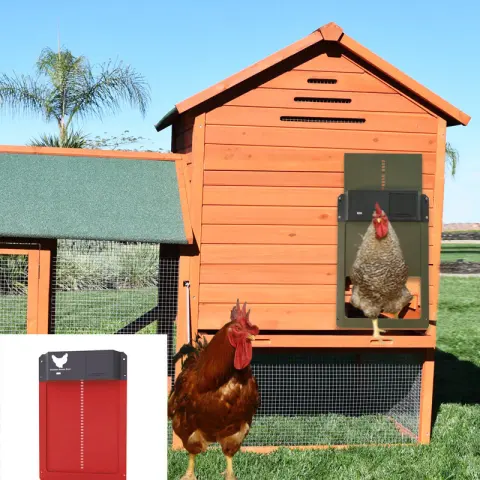 Coop Pet Door Automatic Chicken