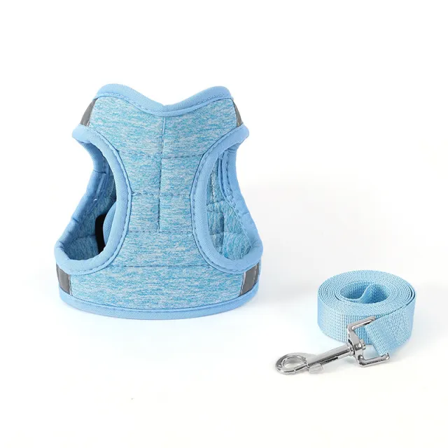 Fashion Dog Walking Chain Rope Blue - Shop at LoveMi