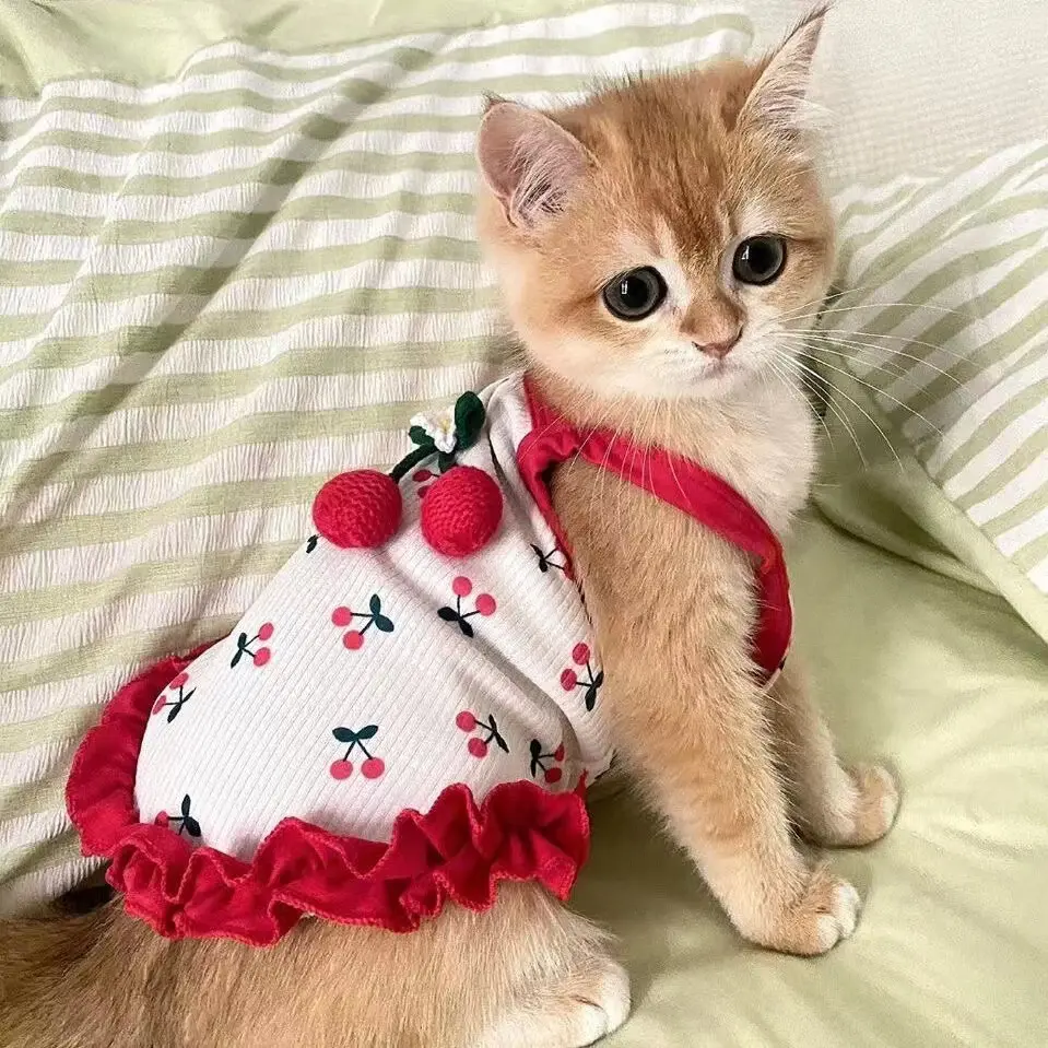 Cute Summer Harness Vest