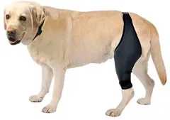Tear Protection Rehabilitation Training Belt - Ordinary Style - View 1