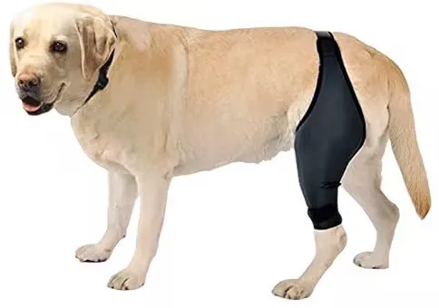 Tear Protection Rehabilitation Training Belt Ordinary Style - Shop at LoveMi