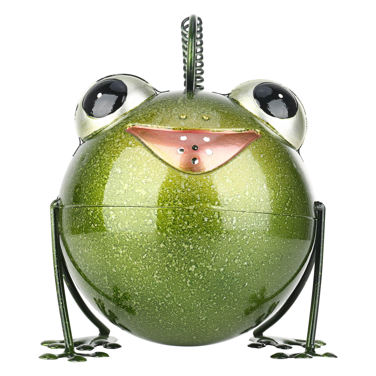 Iron Frog Watering Pot
