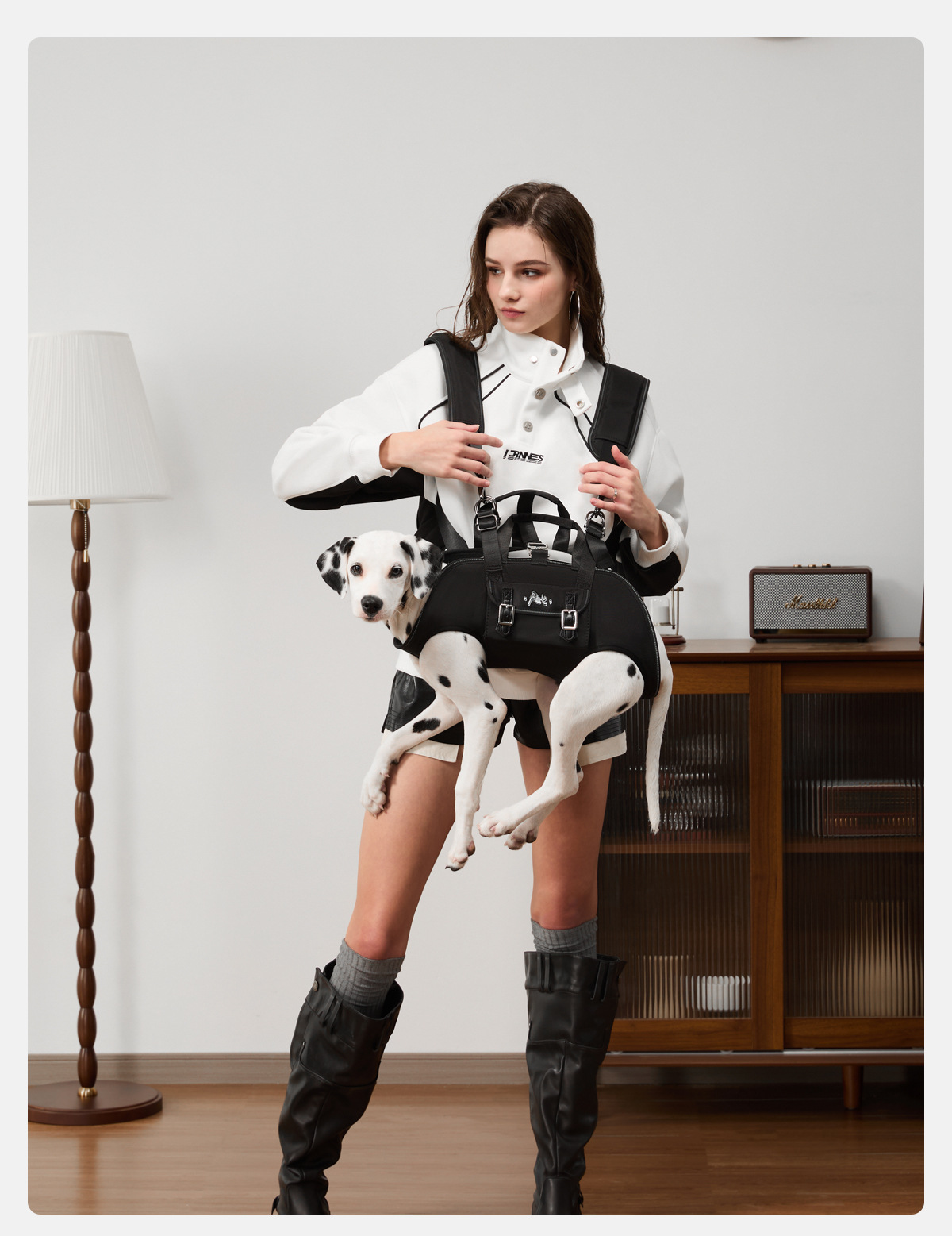 Pet Double-shoulder Crossbody Dog Harness detail photo 2