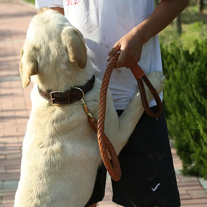 Large dog woven traction rope