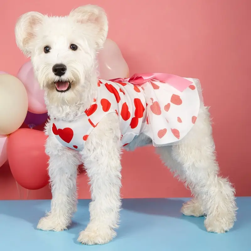 Pet Dog Cat Valentine's Day Love Full