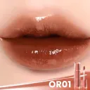 Or01