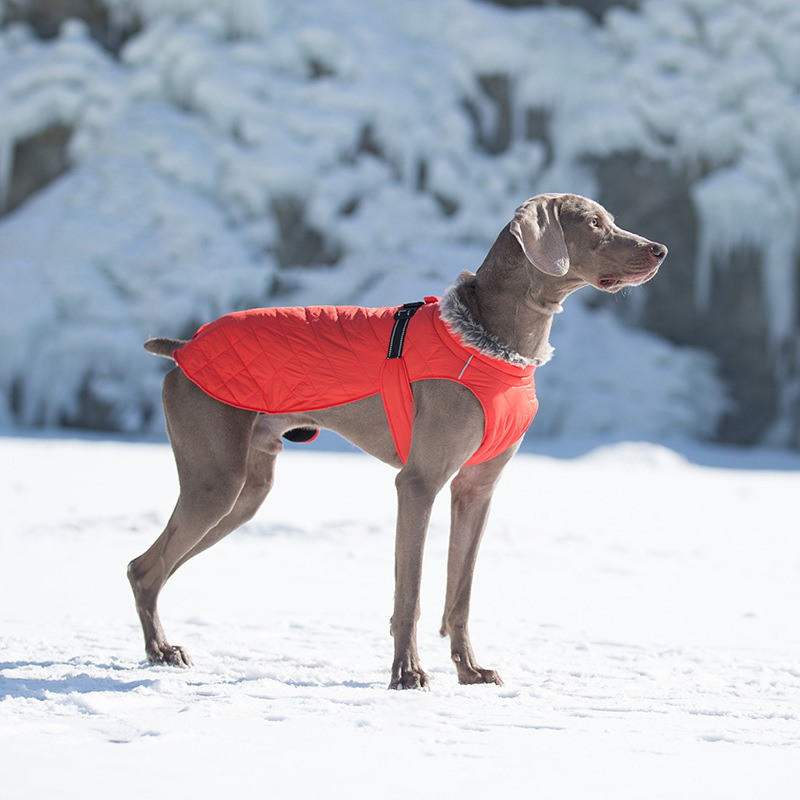 Venta al por mayor de ropa para mascotas: abrigos de algodón y chaquetas de invierno resistentes para perros grandes