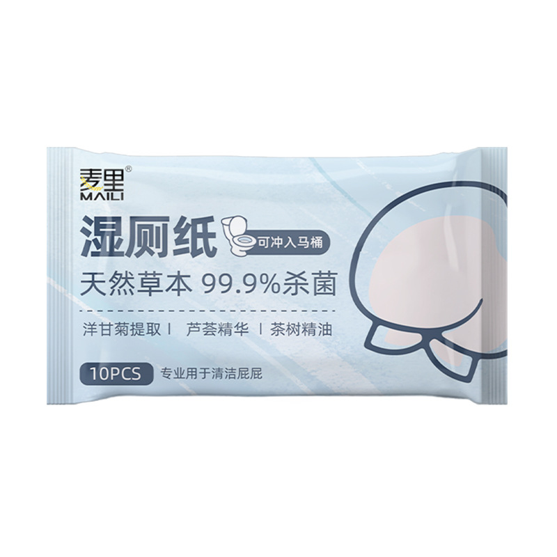 Portable Outdoor Mini Wet Toilet Paper