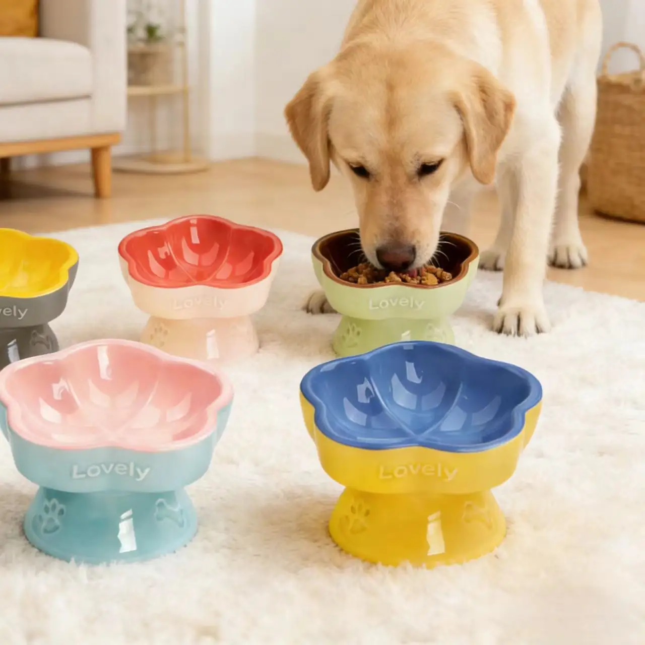 Ceramic Elevated Pet Bowl