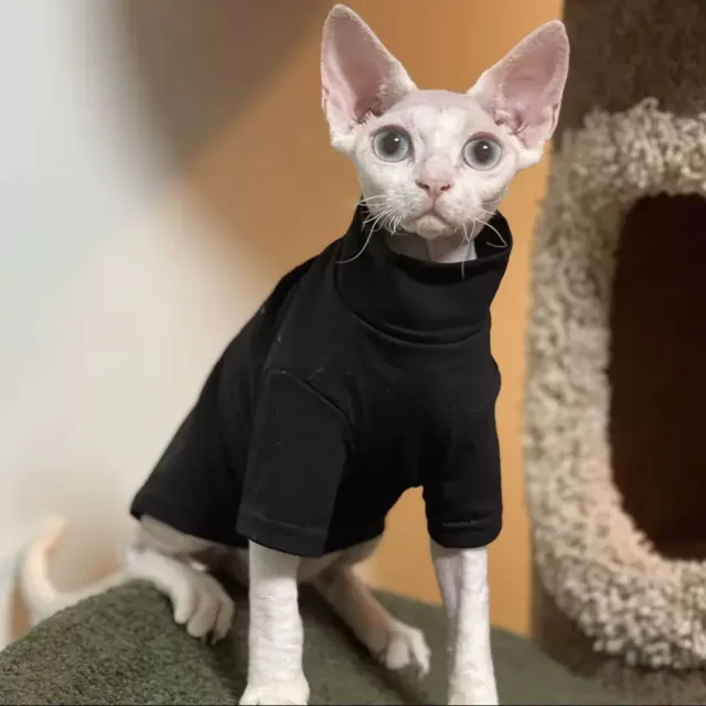 Dralon Self heating Hairless Cat Clothes Autumn And Winter Base Hoodie Black - Shop at LoveMi
