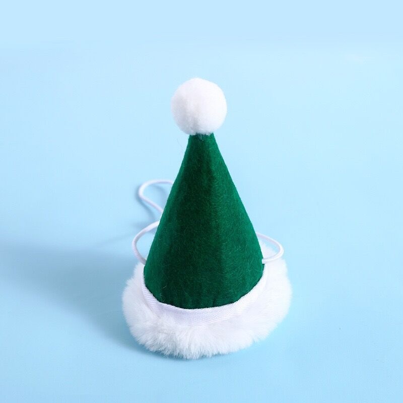 Green Christmas Hat