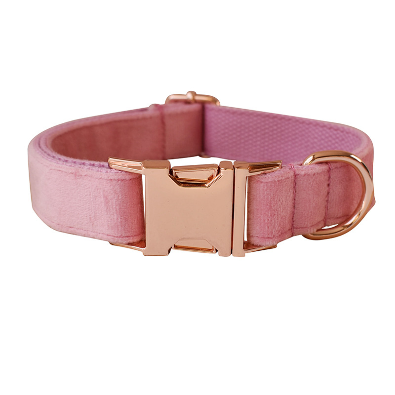 Dog Collar Rose Gold Buckle