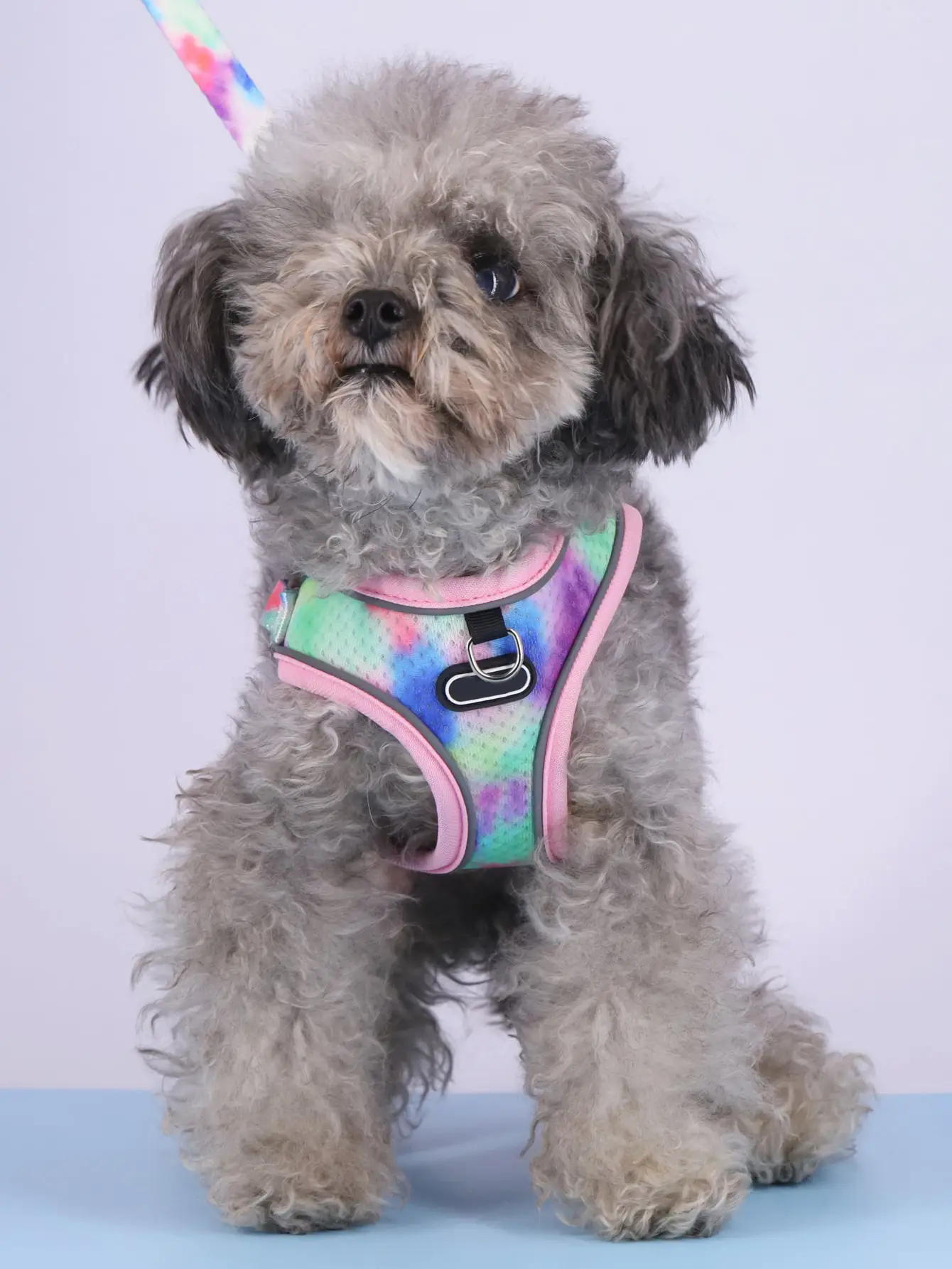Pet's Chest-back Traction Dog Walking Chest Strap