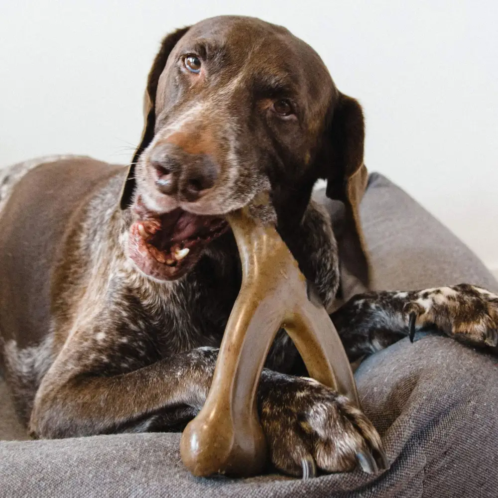 Pet Dog Bite Molar Rod Durable