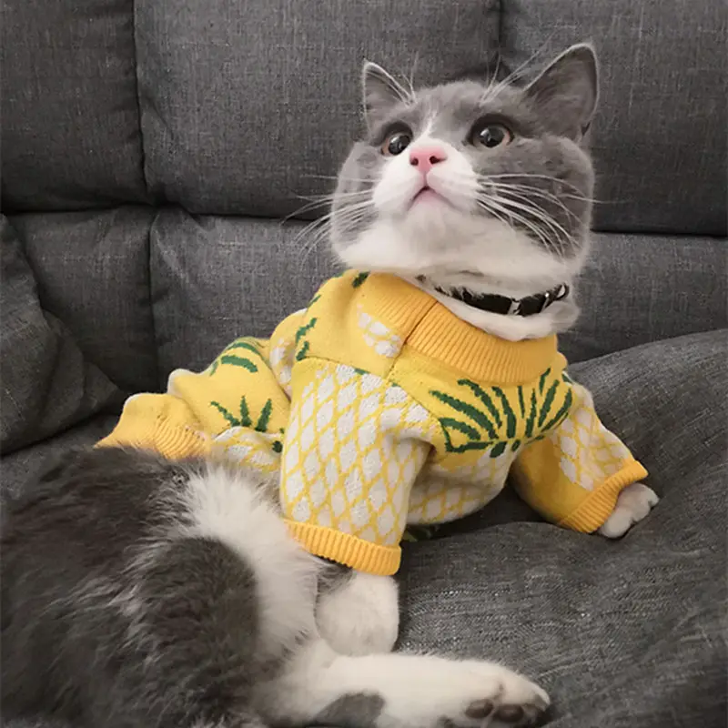 Cute Pineapple Print Jarre Aero Bull Autumn