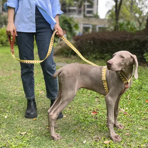 I-shaped Pet Chest Harness Traction Rope