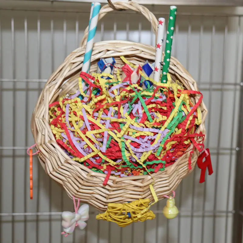 Parrot Basketball Hoop Five-pointed Star Paper Tube