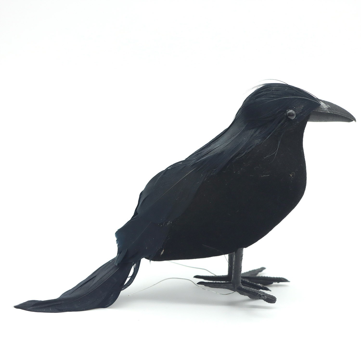 A Straight Crow