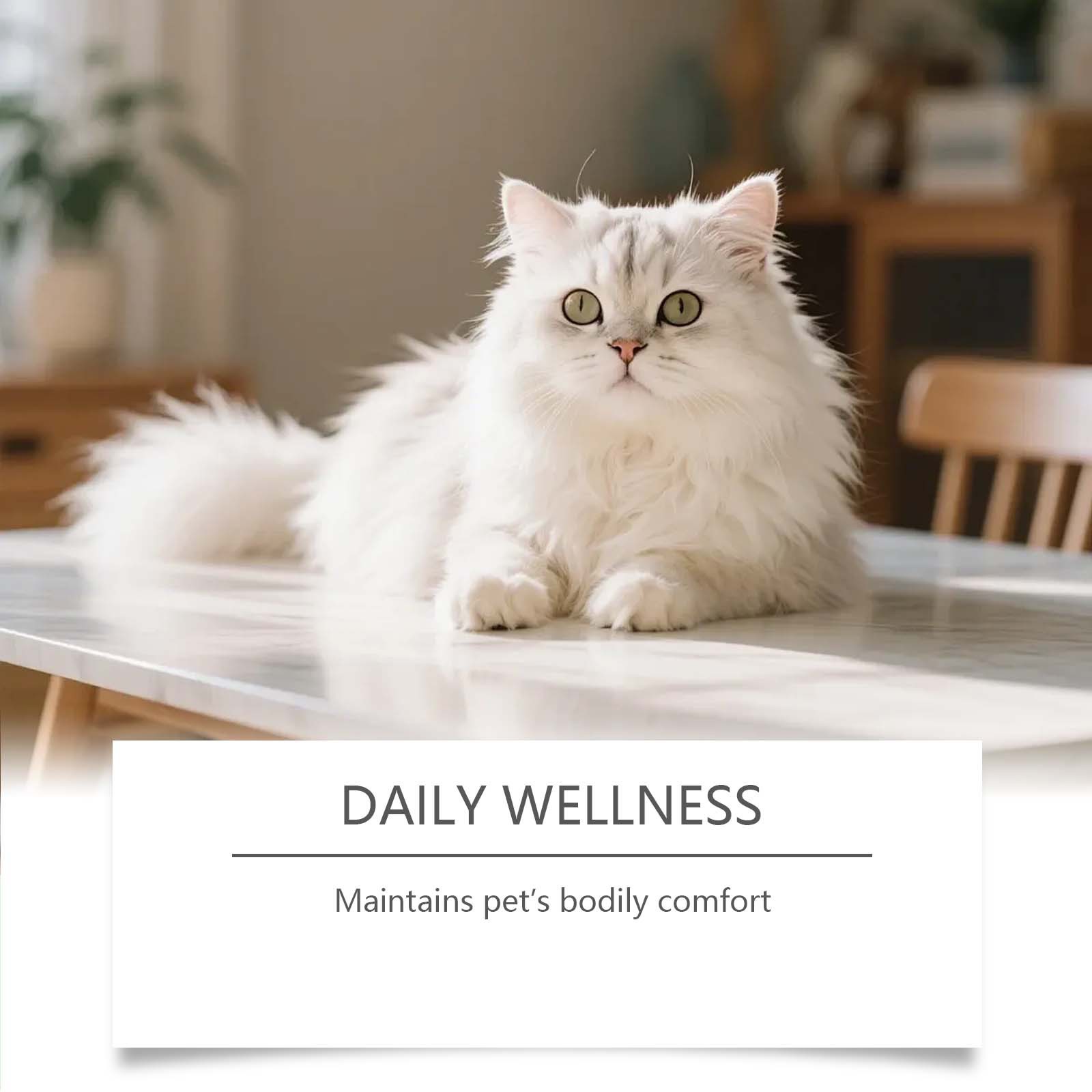 Cat Constipation Relief Liquid