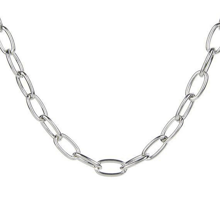 Simple All-match Single-layer Thick Chain Necklace For Women