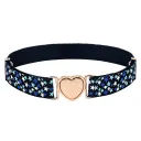 Blue Star Pattern