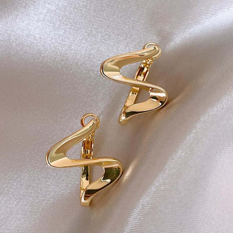 European And American Geometric Metal 925 Silver Pin Earrings Advanced