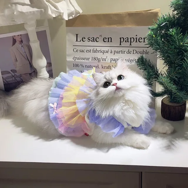 Pet Cat Clothes Dog Lace Mesh Dress Dream Purple Gradient - Shop at LoveMi
