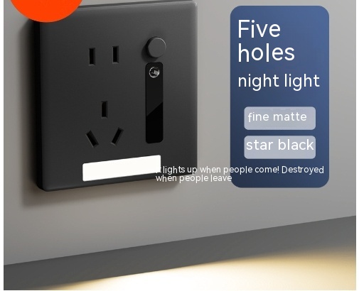 Black Five Hole Induction Lamp