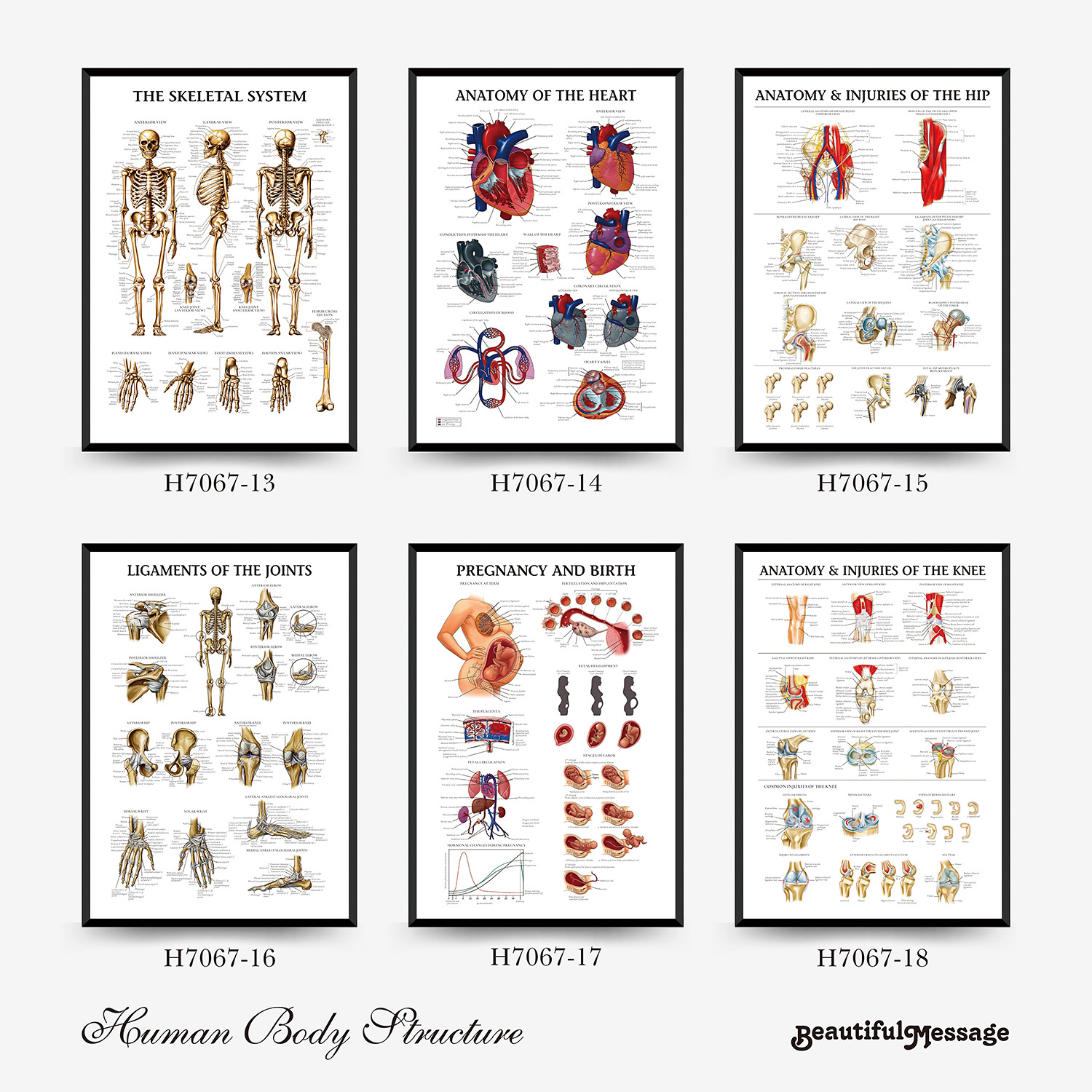 Wall Chart Human Anatomy Muscles Gym Medical Education Decorative Painting 9