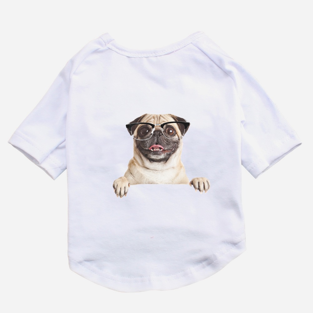 White Pug