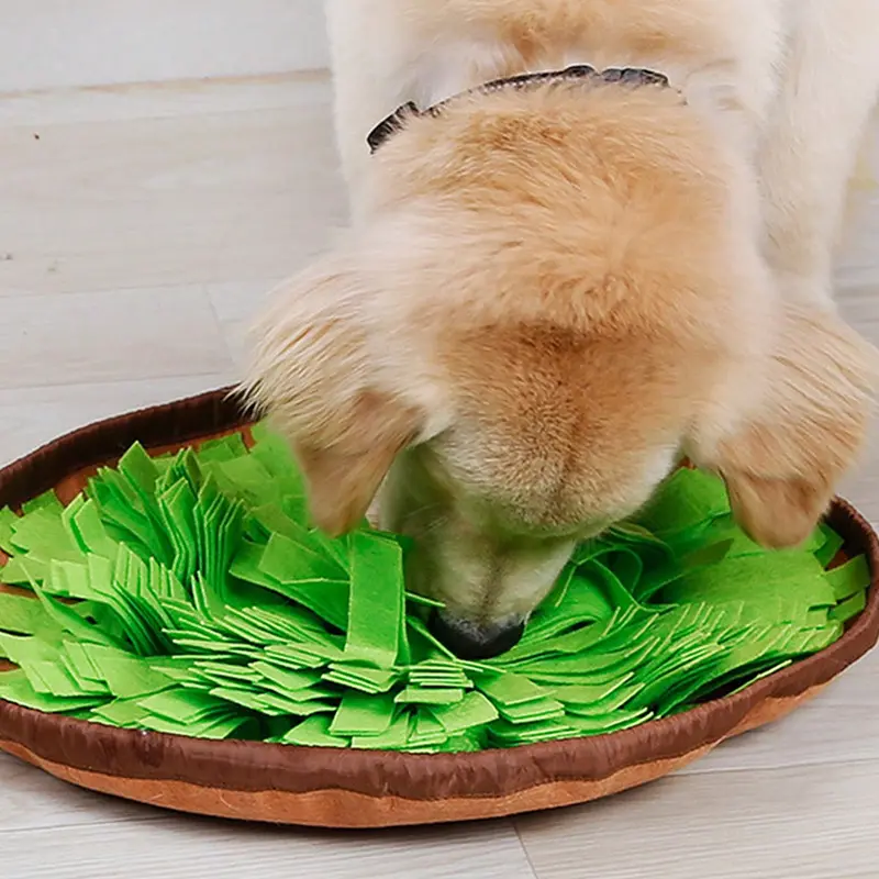 Pet Toy Dog Food-Dispensing Sniffing Training Bowl
