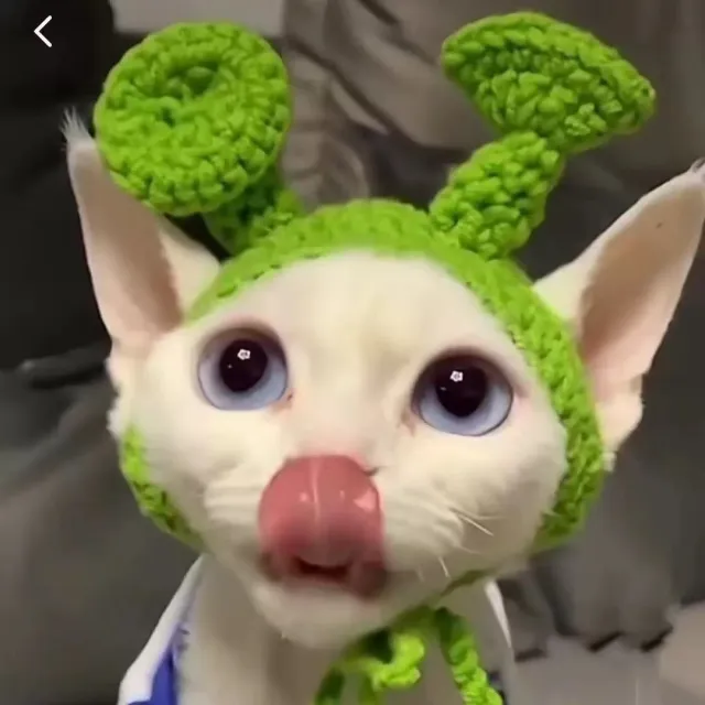 Wool Pet Hood Dogs And Cats Knitted Hat Prop Headdress Green Shrek - Shop at LoveMi
