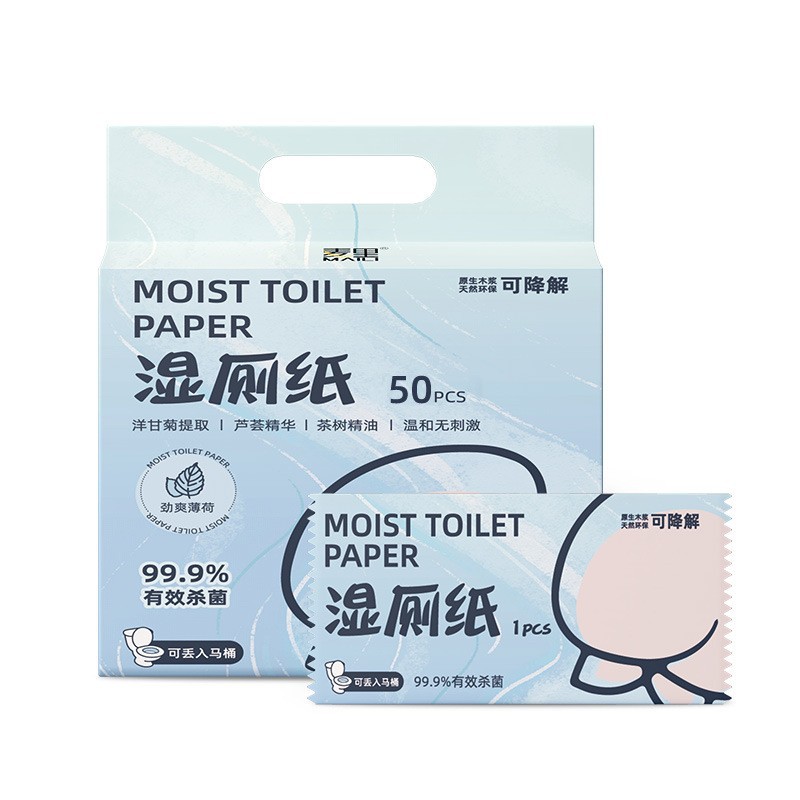 Portable Outdoor Mini Wet Toilet Paper
